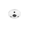 IPC-EBW81230